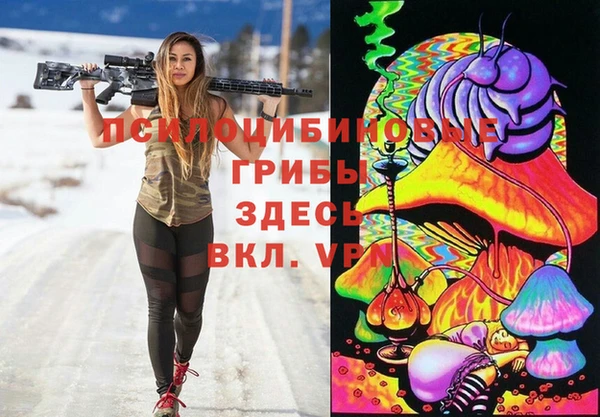 стаф Алексеевка