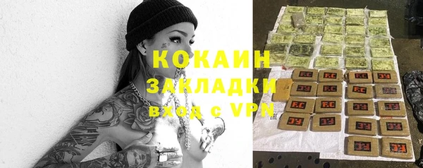твердый Алзамай