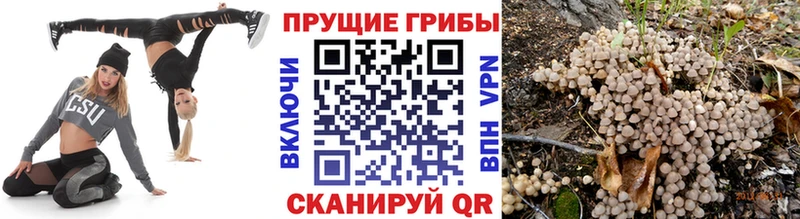 Галлюциногенные грибы Magic Shrooms Слободской